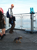  Lilly wasn't so happy at the top of this observation platform.