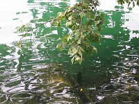  Surface of the lake, Lugarno, Switzerland