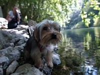  The sound of running water is too much for her and she has to take a pee on the rocks by the waters edge. Facial expression is priceless. Lynn chuckles in the background as I take the shot.