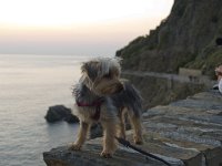  Lilly checking out the view