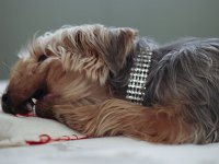  Lilly wearing her diamonte necklace