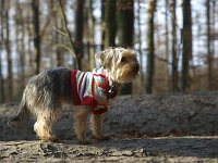  Lilly going for a walk in the forest