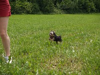  Racing around by the Uetliberg