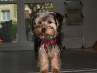  Just after her haircut.