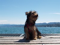  Sitting on the boat jetty waiting for the ferry.