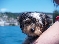  First time on a ferry.