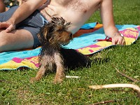  Relaxing in the sun.