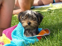  Relaxing in the sun.