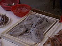  Squid - Hong Kong market