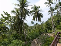  View from the top of the Butterfly Farm, Koh Samui