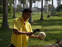  Coconut guy cracks open a coconut