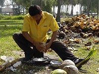  Now he scrapes all the coconut flesh off.