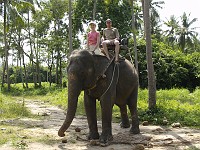  Riding an elephant around. Koh Samui.