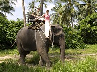  Riding an elephant around. Koh Samui.