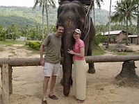  Feeding the elephant bananas after the walk.