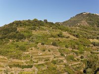  The hills outside Corniglia