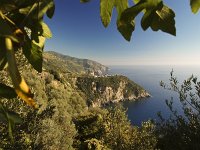  On the way to Corniglia - town visible on peninsula in the distance