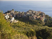  Approaching the town of Corniglia from the north