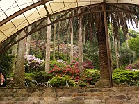  Tatsumaki-Jigoku (8) - view to the gardens.