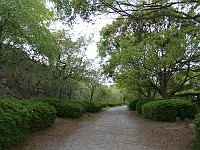  Walking around a big park in Fukuoka