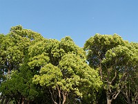  Walking around a park in Fukuoka