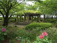  Gardens near Himeji Castle