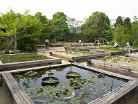  Gardens near Himeji Castle