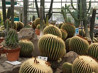  Botanic Gardens - Cactii