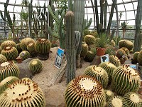  Botanic Gardens - Cactii