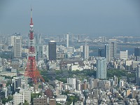  View over Tokyo from the Ropongi Hills building. The restaurant where we ate earlier is the green area on the right.