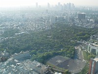  This large green area is actually a graveyard right in the middle of Tokyo