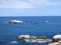  View of seals perched on a rock. This could be an interesting spot to dive later!