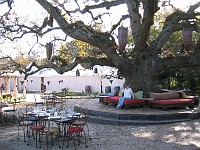  Spiers Resort - near Stellenbosch, South Africa