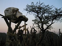  Elephant skull - Shakaland, north of Durban, South Africa