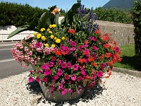  Colourful flowers in St. Jorioz