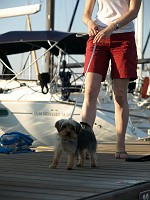  Lilly walking around the jetty.