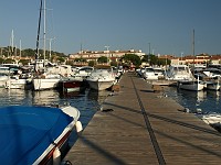  The marina in St. Tropez.