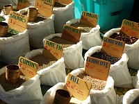  Herbs - exploring the market in Castellane.