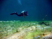  Lynn explores along the bottom...