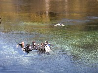  Horst's group in the water