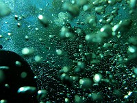  Bubbles are streaming out of the entrance - Diver visible behind bubbles