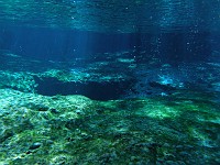  Entrance to the Devil's Eye - Ginnie Springs