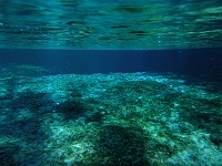  Ginnie Springs