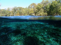  Ginnie Springs