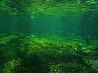  Ginnie Springs