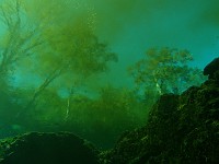 Cave Diving Florida - Ginnie Springs November 2005