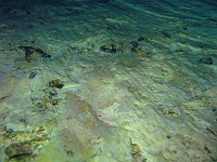  Clay floor - Devil's Eye - Ginnie Springs