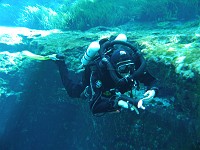  Mark descending with the Megalodon at Devil's Eye, Ginnie Springs