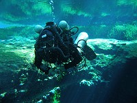  Irene descending with the Megalodon at Devil's Eye, Ginnie Springs