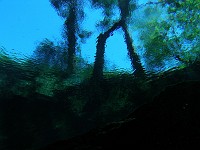  Looking out of the Devil's Eye - Ginnie Springs